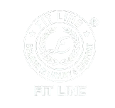 fitlineseatcover.com